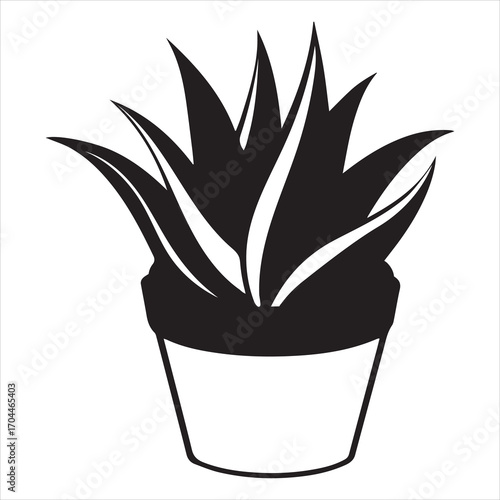 aloe vera plant vector icon