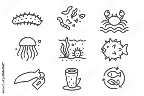 Marine Biology Icons. Line style icons of marine biology: sea cucumber, detritus feeder, ocean bottom scavenger, soft body marine