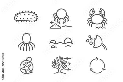 Marine Biology Icons. Line style icons of marine biology: sea cucumber, detritus feeder, ocean bottom scavenger, soft body marine
