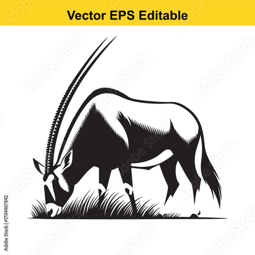 Vector art of oryx antelope grazing in grass