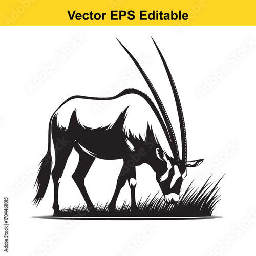 Vector art of oryx grazing in grass