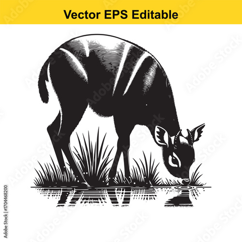 Vector art of bongo antelope drinking water in tall grass