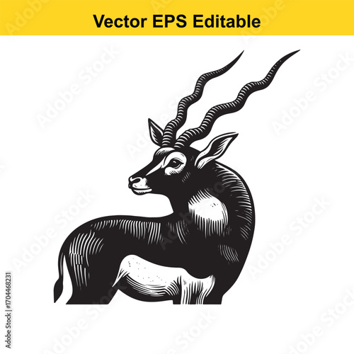 Vector art of blackbuck antelope illustration