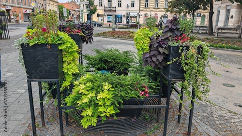 Foto Street decoration with plants in black flower pots