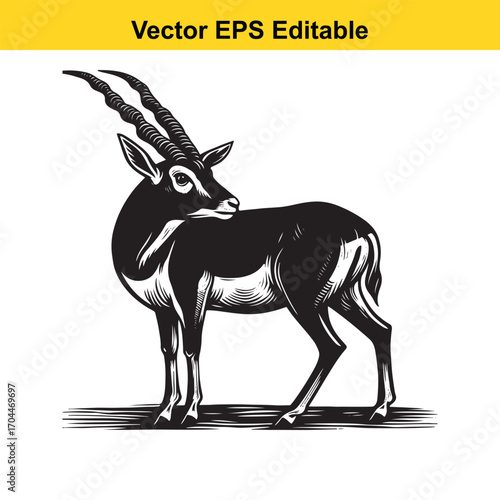 Vector art of black and white illustration of a gazelle