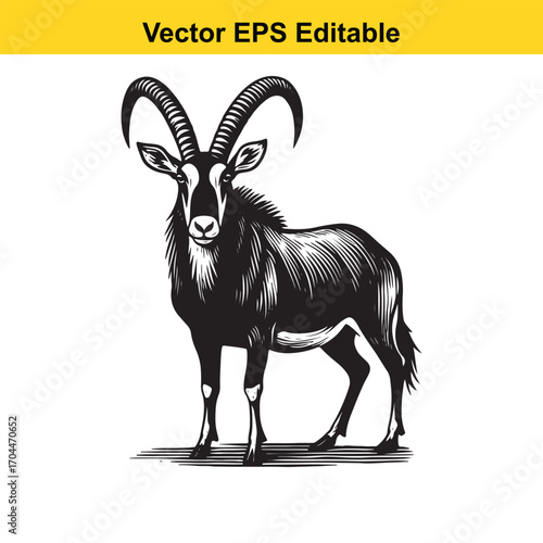 Vector art of black and white illustration of a sable antelope