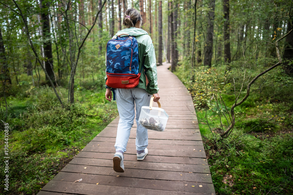Fototapeta premium Rearview woman forager moving along marked nature path in wetland woodland carrying harvest basket during quiet outdoor excursion. Mushroom hunting on eco friendly trail, sustainable forest tourism
