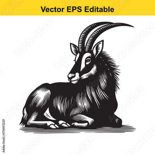 Vector art of sable antelope lying down