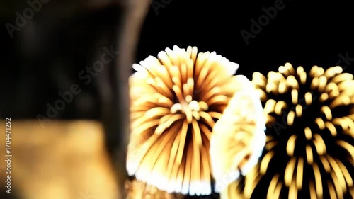 New Year Celebration with Champagne and Fireworks