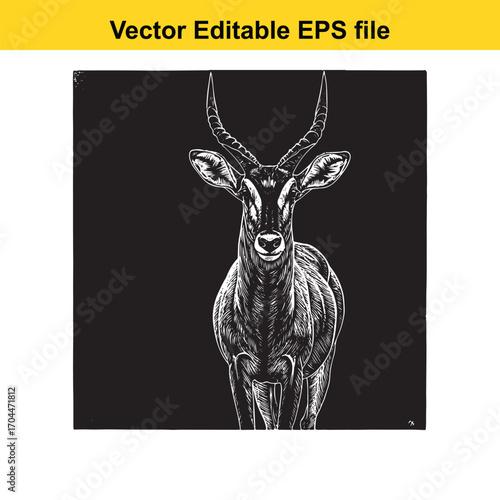 Vector art of detailed black and white illustration of a majestic antelope with large horns