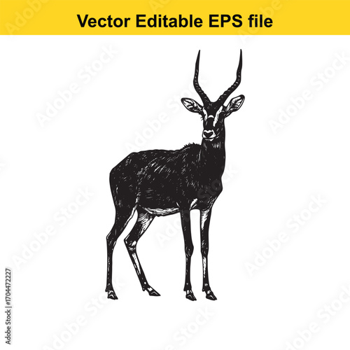 Vector art of black and white illustration of an antelope standing