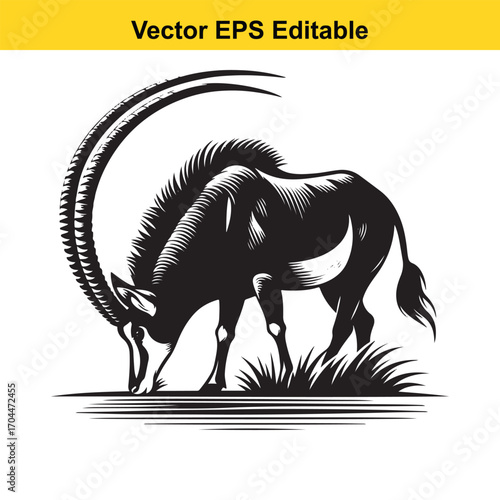 Vector art of sable antelope grazing in grass