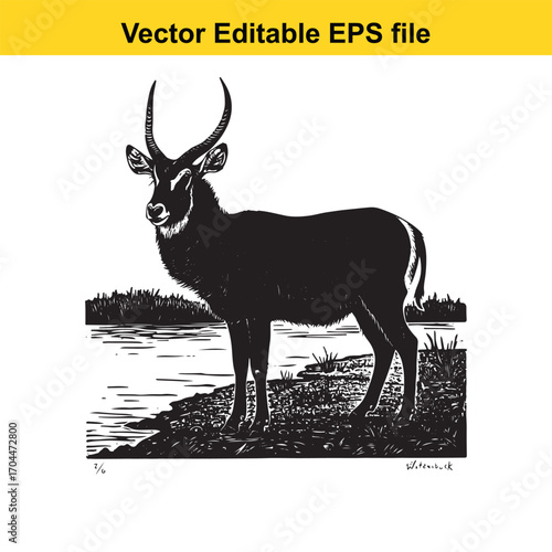 Vector art of black and white illustration of a waterbuck standing by a river bank