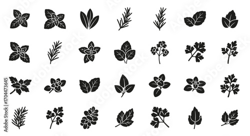 Diverse Leaves and Plants, Nature, Graphic Design, Artistic Environment, Top-Down Viewpoint