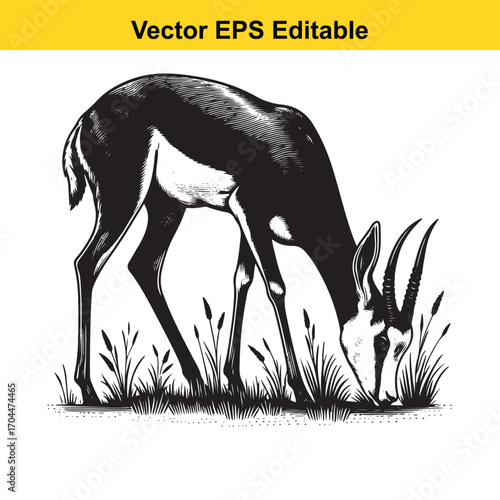 Illustration of a gazelle grazing in grass