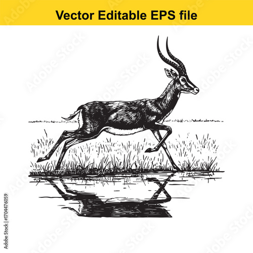 Vector art of black and white illustration of a gazelle running through grass near water