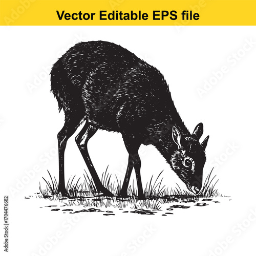 Vector art of black and white illustration of a small deer grazing in grass