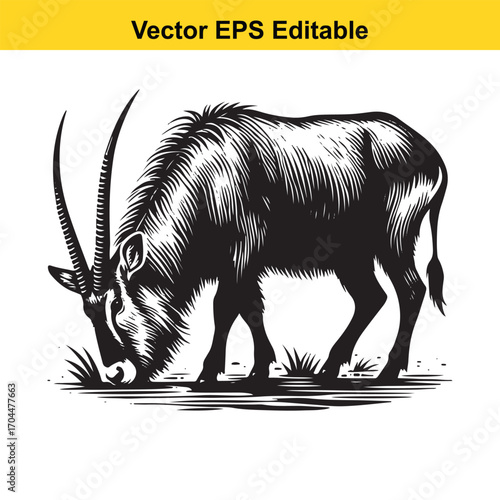 Vector art of black and white illustration of an oryx grazing in grass