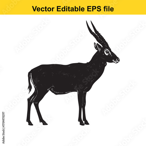 Vector art of black silhouette of a gazelle standing