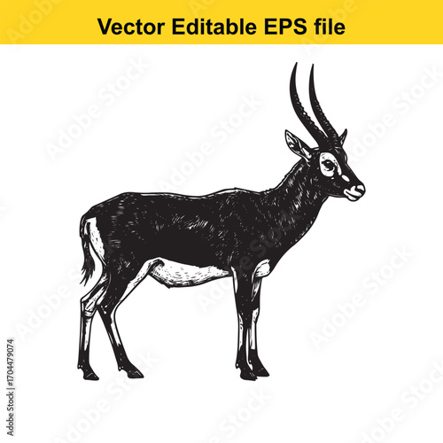 Vector art of black and white illustration of a sable antelope