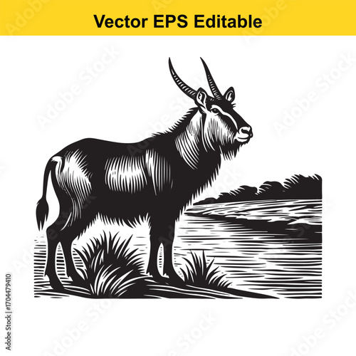 Vector art of black and white illustration of a waterbuck standing by a river