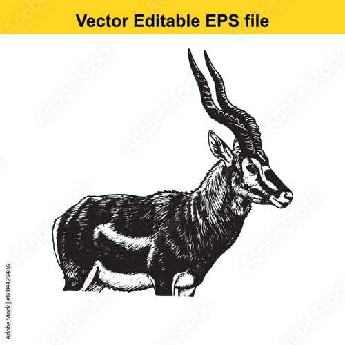 Illustration of a sable antelope