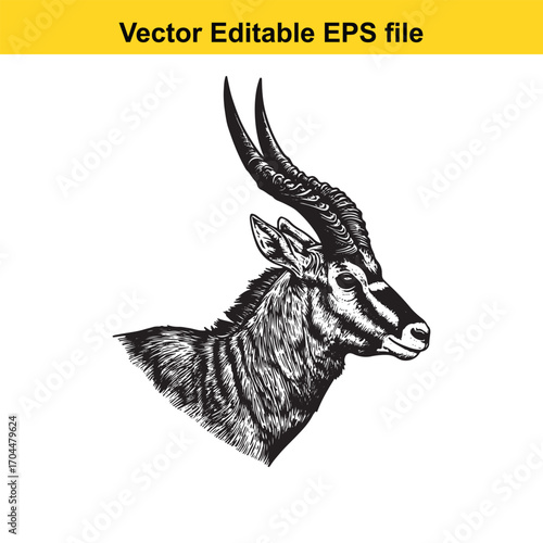 Illustration of a sable antelope head