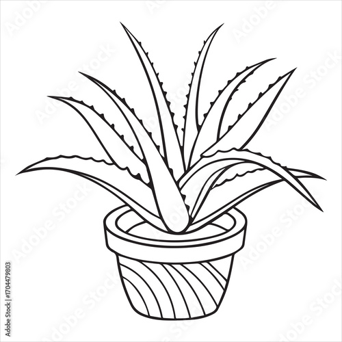 aloe vera plant vector outline