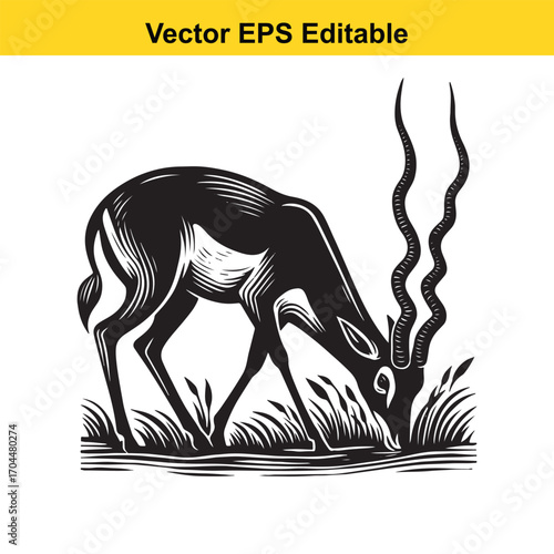 Vector art of black and white illustration of an antelope grazing in grass