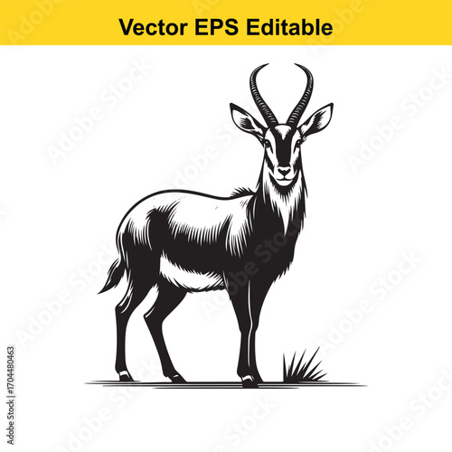 Vector art of black and white illustration of a sable antelope standing on grass