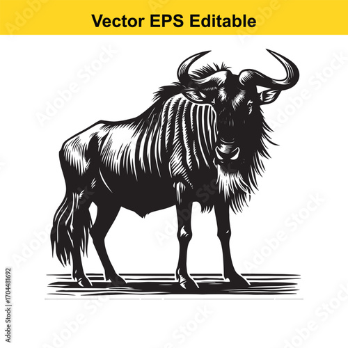 Vector art of wildebeest illustration