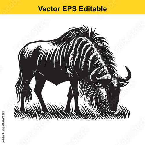 Vector art of wildebeest grazing in grass