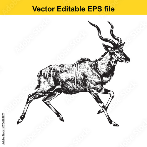 Vector art of kudu antelope running