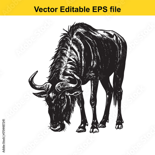 Vector art of wildebeest, vector illustration