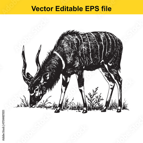 Vector art of greater kudu antelope grazing in the savanna