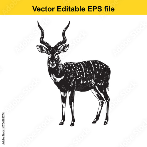 Illustration of a greater kudu antelope