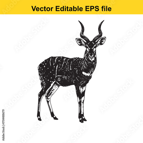 Illustration of a greater kudu antelope