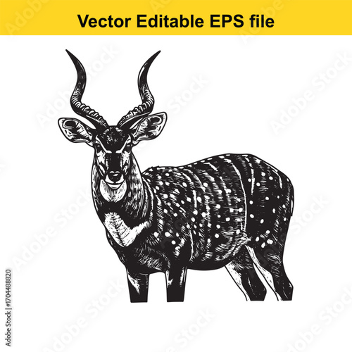 Illustration of a greater kudu antelope