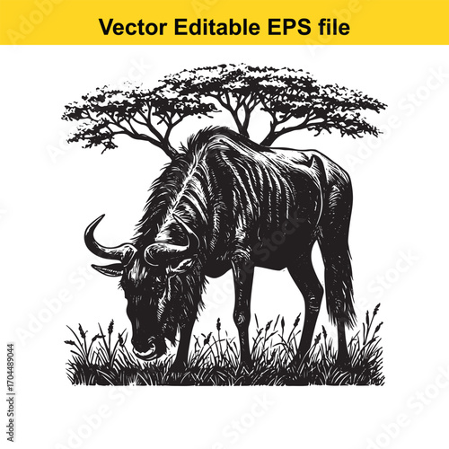 Vector art of wildebeest grazing under an acacia tree in a savanna landscape, vector illustration