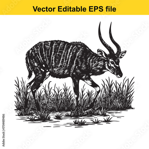 Vector art of nyala antelope walking through tall grass, vector illustration