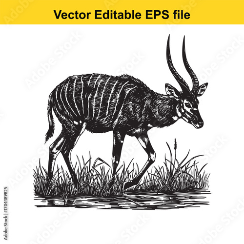 Vector art of vintage illustration of a nyala antelope walking through tall grass