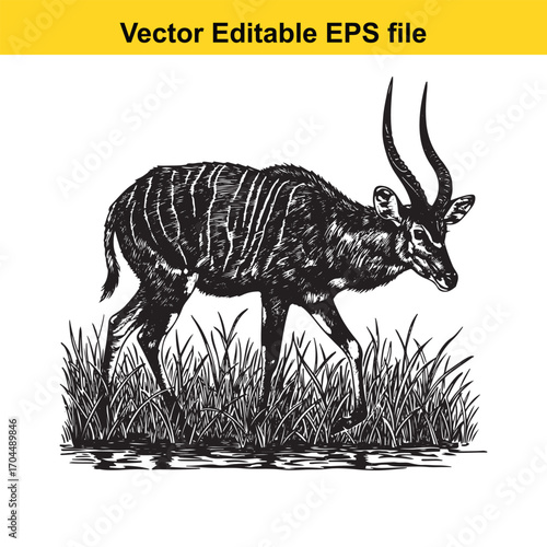 Vector art of nyala antelope walking through grass, vector illustration