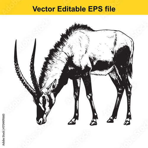 Illustration of a sable antelope grazing