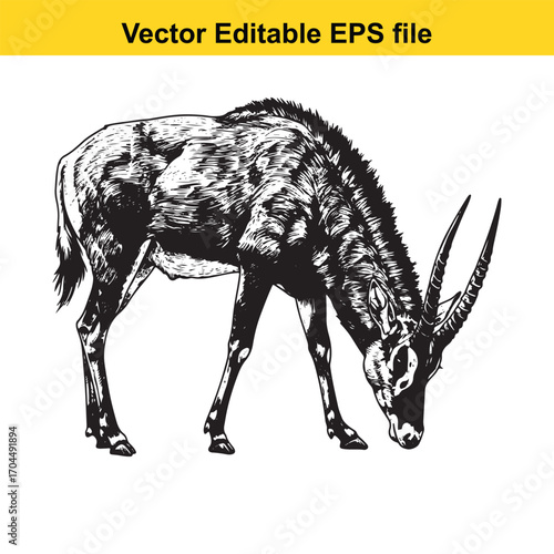 Vector art of sable antelope grazing, , vector illustration