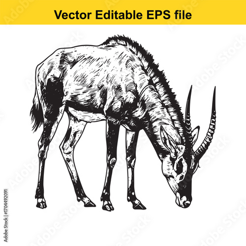 Vector art of sable antelope grazing