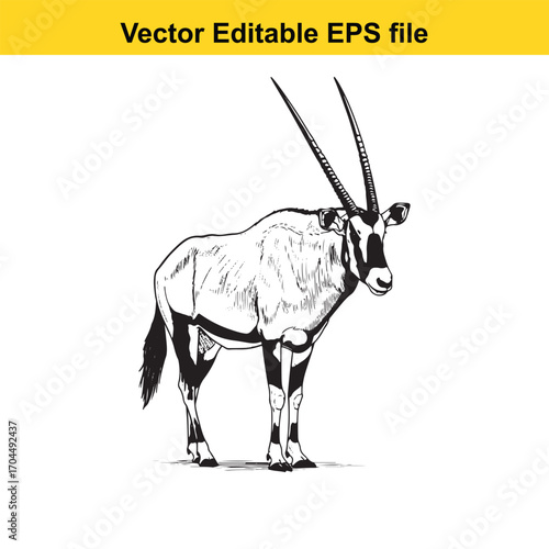Vector art of oryx antelope standing