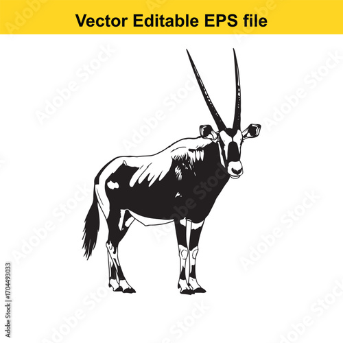 Vector art of oryx antelope standing, , vector illustration