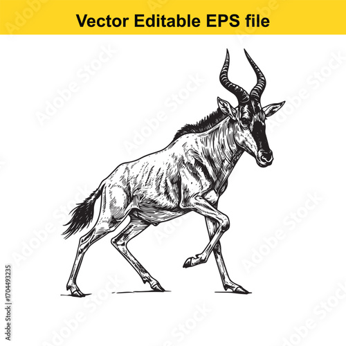 Vector art of wildebeest walking
