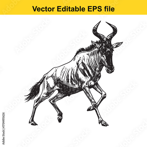 Vector art of wildebeest walking