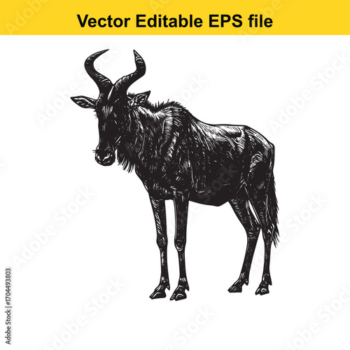 Vector art of wildebeest illustration